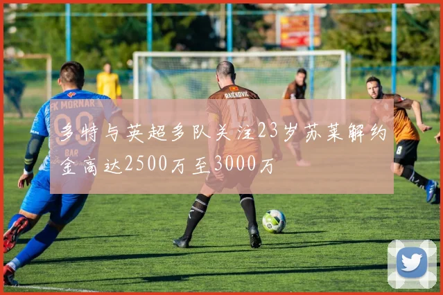 多特与英超多队关注23岁苏莱解约金高达2500万至3000万